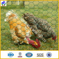 Alambre del pollo / red del maleficio (HPZS-1008)